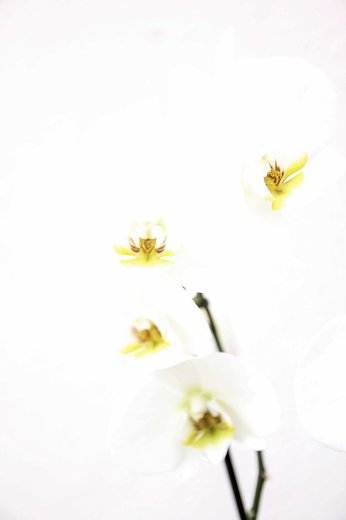 Christophe Duclaux Photographe - Photographe - 2 Christophe Duclaux Photographe - Photographe - 2
