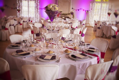 pierre louis daniele photographe - Photographe mariage - 2 pierre louis daniele photographe - Photographe mariage - 2