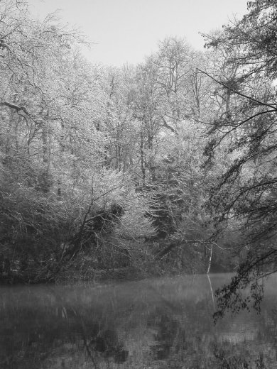 Annick BERLA - Photographe - 1 Annick BERLA - Photographe - 1