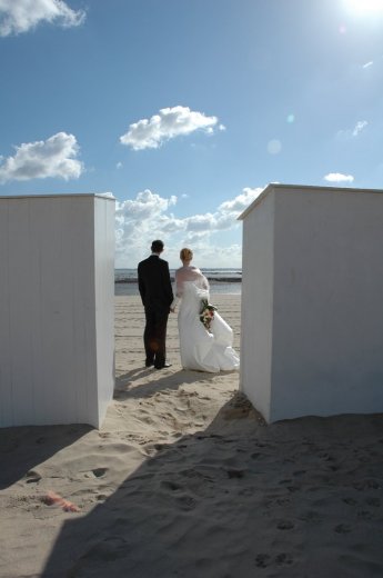 Photographe mariage - DOMINIQUE ROBIN  / PHOTOGRAPHE - photo 17