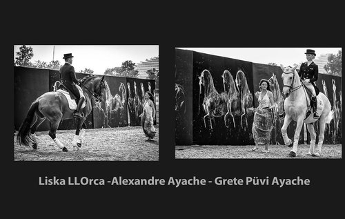 Raynald Aubert Photographe - Photographe mariage - 1 Raynald Aubert Photographe - Photographe mariage - 1