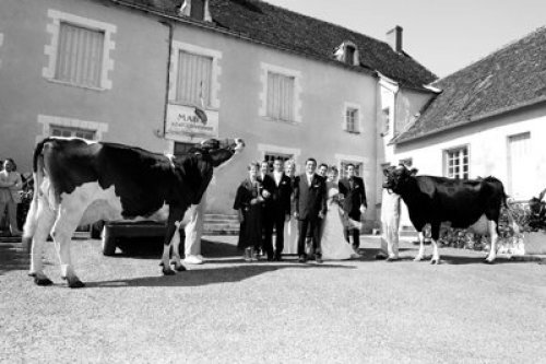 Photographe mariage - Angles d'Images - photo 23