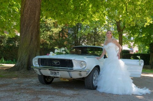 ANDRE RIZZOTTI - Photographe mariage - 1 ANDRE RIZZOTTI - Photographe mariage - 1
