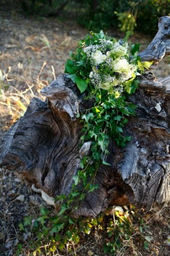 Photographe mariage - Roxanne Gauthier, photographe - photo 49