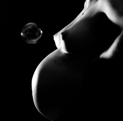 P-MOD Photographies - Photographe - 2 P-MOD Photographies - Photographe - 2