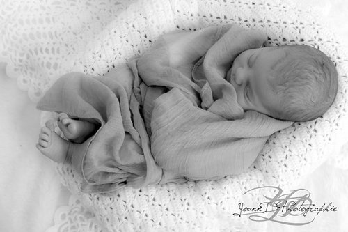 Yoann D Photographie - Photographe mariage - 2 Yoann D Photographie - Photographe mariage - 2