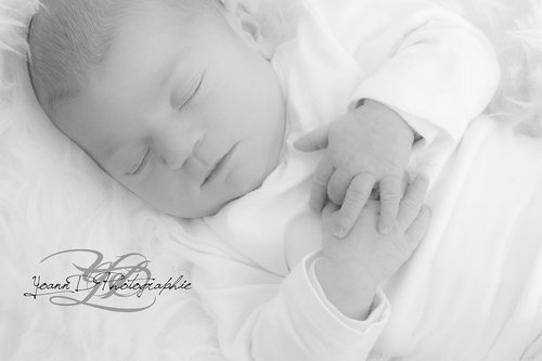 Yoann D Photographie - Photographe mariage - 1 Yoann D Photographie - Photographe mariage - 1