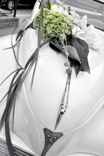 PhotoSeb59 - Photographe mariage - 2 PhotoSeb59 - Photographe mariage - 2