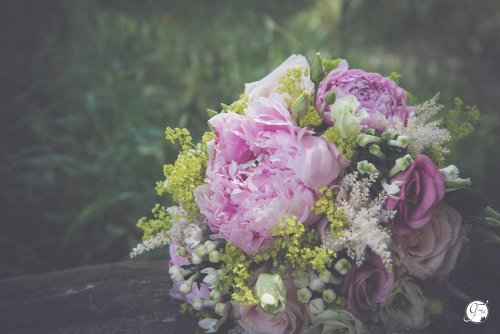 Virginie Pirrot - Photographe mariage - 2 Virginie Pirrot - Photographe mariage - 2