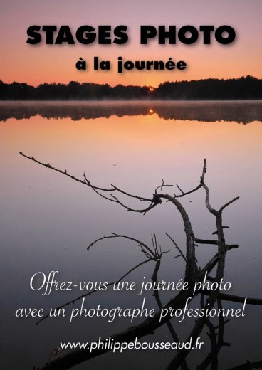 Jardin des Arts - Photographe - 1 Jardin des Arts - Photographe - 1