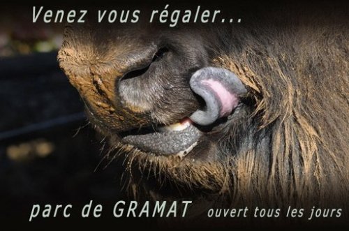 Bernard Tauran Photographe - Photographe - 1 Bernard Tauran Photographe - Photographe - 1