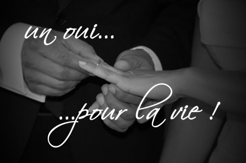 DANIE HEMBERT PHOTOGRAPHE - Photographe mariage - 2 DANIE HEMBERT PHOTOGRAPHE - Photographe mariage - 2
