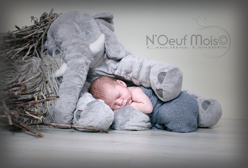 N'Oeuf Mois - Photographe - 2 N'Oeuf Mois - Photographe - 2