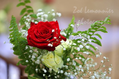 Zoe Lemonnier photographe - Photographe mariage - 1 Zoe Lemonnier photographe - Photographe mariage - 1
