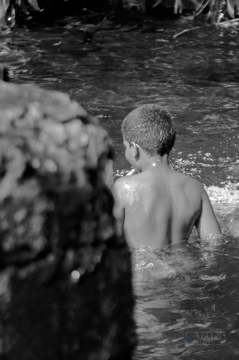 TROPIC ÉMOTIONS - Photographe mariage - 1 TROPIC ÉMOTIONS - Photographe mariage - 1