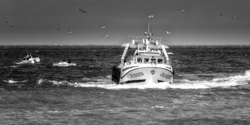 Photographe - Alain Gaymard - photo 18