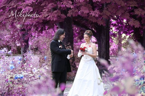 Photographe mariage - RUMIANO - photo 8