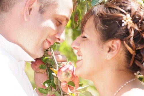 Photographe mariage - MARTIN-ALBA PHOTOVIDEO - photo 39
