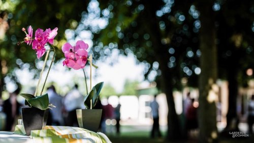 Photographe mariage - Gardres & Dohmen - photo 6