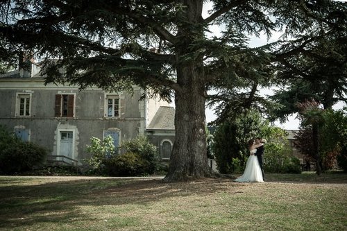 Photographe mariage - Stephane Moreau Photographe - photo 1
