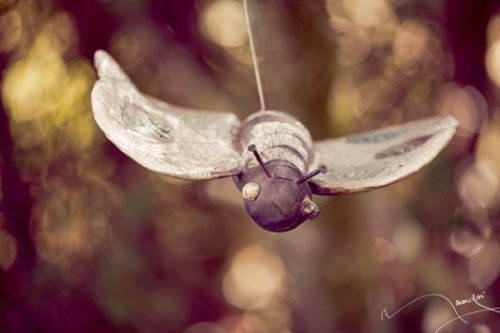 Matthieu Marangoni. - Photographe mariage - 2 Matthieu Marangoni. - Photographe mariage - 2